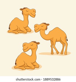 Camel Cartoon Animals Set Collections