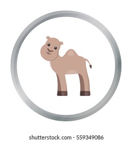 Camel cartoon icon. Illustration for web and mobile design.