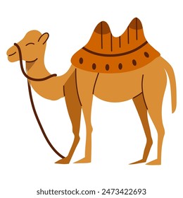 Camel cartoon illustration, camel vector illustration