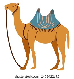 Camel cartoon illustration, camel vector illustration