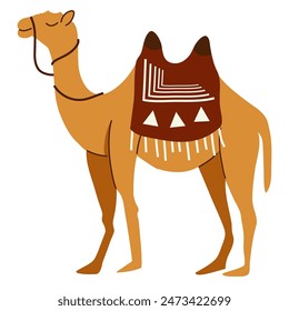 Camel cartoon illustration, camel vector illustration