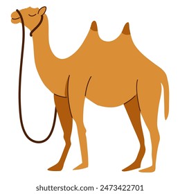 Kamel Cartoon Illustration, Kamel Vektorillustration
