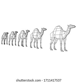 Camel cartoon lines illustration. Abstract vector camel on the white background