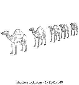 Camel cartoon lines illustration. Abstract vector camel on the white background