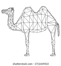 Camel cartoon lines illustration. Abstract vector camel on the white background