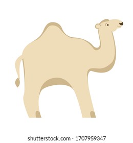 caricatura de camello , ilustración vectorial, estilo plano, lado del perfil
