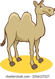  camel cartoon vector illustration isolated on white background.