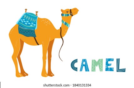 Camel cartoon vector illustration on white. Decorated camel with seat for a ride.  Camel traditional colorful decorated