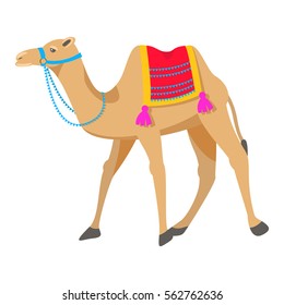 Camel cartoon vector illustration on white. Two-humped desert animal with bridle and saddle.