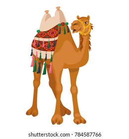 Camel cartoon vector illustration on white.  Decorated camel with seat for a ride.