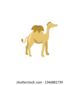 Camel cartoon vector on a white background