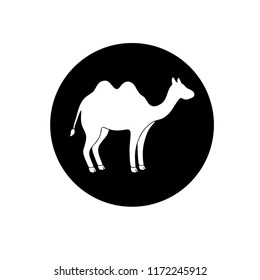 Camel in Circle side