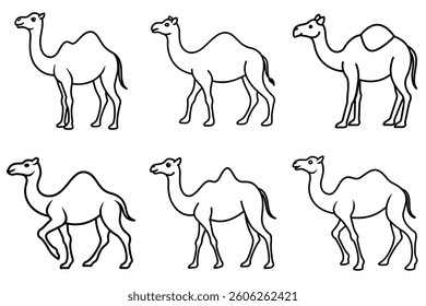 camel collection, set of camel