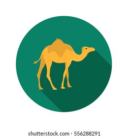 Camel color flat icon for web and mobile design
