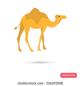 Camel color flat icon for web and mobile design