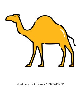 Camel color line icon. Pictogram for web page, mobile app, promo. UI UX GUI design element. Editable stroke