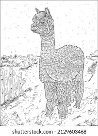 Camel coloring page for adults coloring book