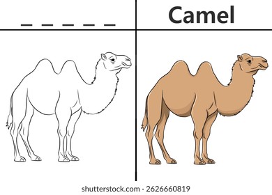 Páginas de colorir camelo para crianças e aprender a reconhecer cartas, mídia de cartões de reconhecimento animal para vários jogos no aprendizado da primeira infância