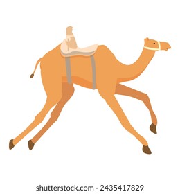 Camel competition icon cartoon vector. Sport running festival. Farm east oriental