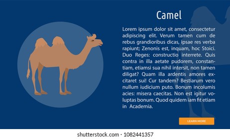 Camel Conceptual Banner