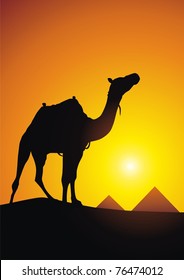 The camel costs against the yellow sun and pyramids