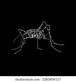 camel cricket hand drawing vector isolated on black background.