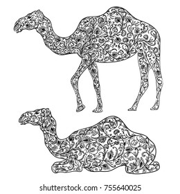 Camel decorated with oriental ornament. Vintage vector illustration