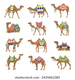 Camel. Decorative pictures of camels from sahara deserts recent vector illustrations set of stylized illustrations