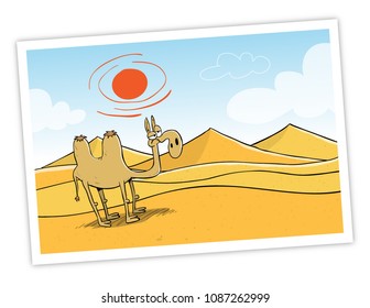 camel in desert