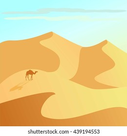 A camel and desert