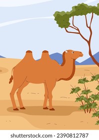 Camello en el paisaje del desierto, colorida ilustración vectorial de dibujos animados. Un gran animal africano, un camello bactriano en la sabana de arena al lado de un árbol y arbustos. El paisaje natural de verano