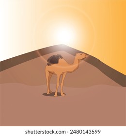 camel in the desert. landscape vector image