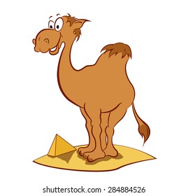 camel in the desert on the background of the pyramids
