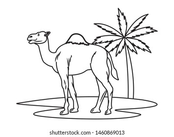 Camel in desert with palm tree cartoon isolated vector illustration graphic design