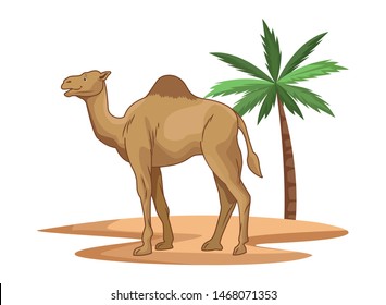 Camel in desert with palm tree cartoon isolated vector illustration graphic design