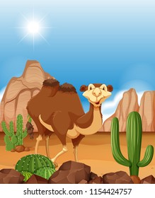 Ilustración del camello en el desierto