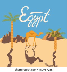 Camel in a desert. Stock vector illustration of a mammal animal standing on sand with palm trees in flat style.