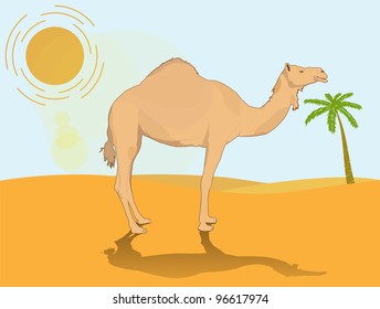 Camel in desert with the sun and a palm tree