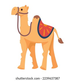 camel desert transport animal icon