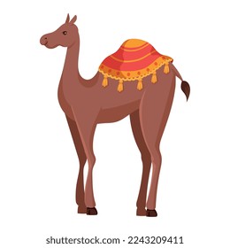 camel desert transport animal icon