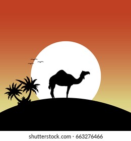 Camel Desert vector illustration