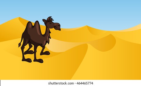 Camel in the Desert, vector illustration. Cartoon style.