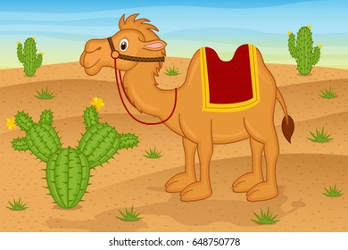 camel in desert  - vector illustration, eps
