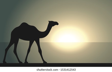 Camel in desert walking forward. Camel graphic sign at sunrise or sunset background. Camel symbol of desert. Vector illustration