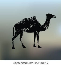 Camel design on blur background,grunge vector