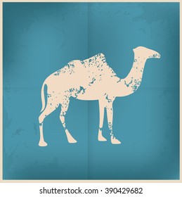 Camel design on old paper background,vector