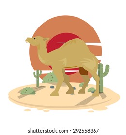 camel in dessert with sunset - vector illustration