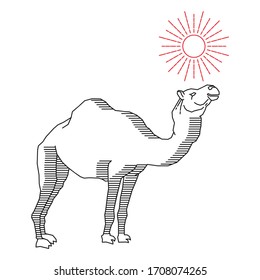 Camel doodle abstract icon isolated on white, outline, art line sticker, sketch logo animal, vector stock illustration