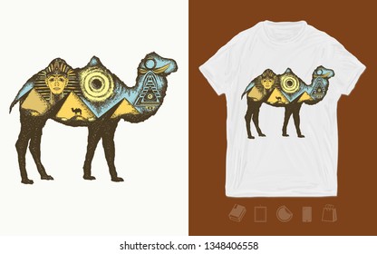 Camel double exposure animals . Ancient Egypt, Pharaoh, Ankh, Pyramid. Symbol of archeology, ancient civilizations. Print for t-shirts and another, trendy apparel design 