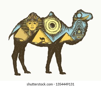 Camel double exposure animals. Ancient Egypt, Pharaoh, Ankh, Pyramid. Symbol of archeology, ancient civilizations 